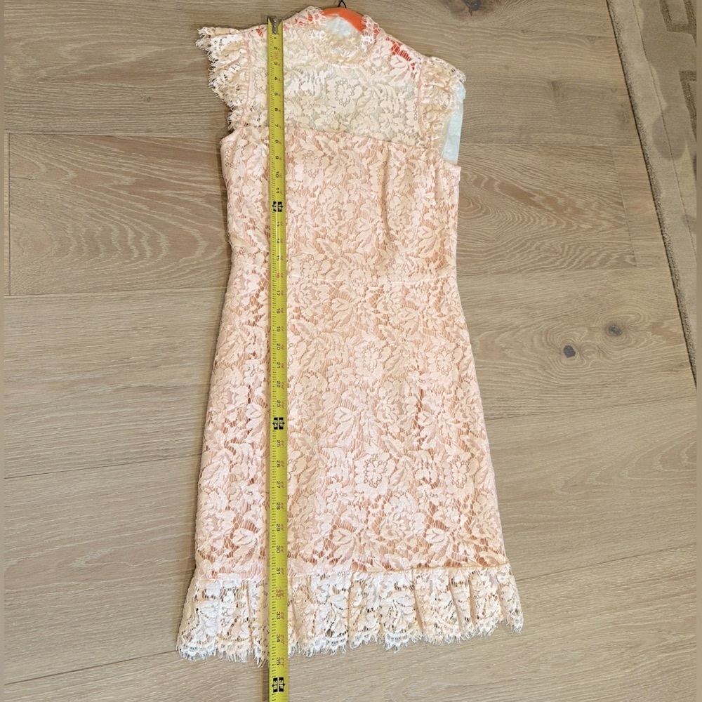 Revolve Aijek eyelash pink lace mini dress keyhole back - Picture 14 of 16